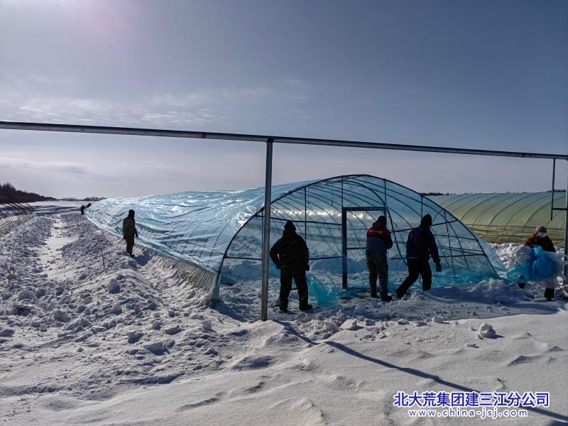 第二管理区清雪扣棚_副本.jpg