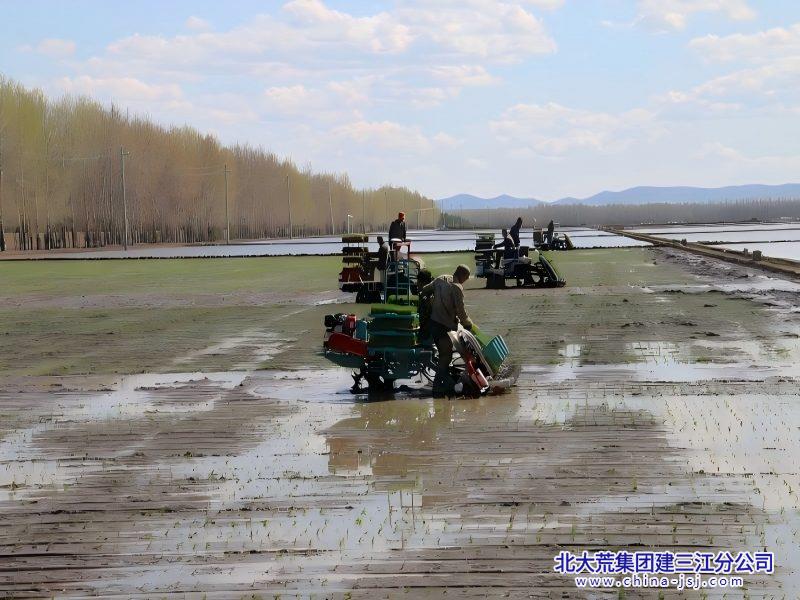 劳动竞赛(1)(1).jpg