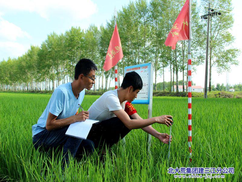 微信图片_20260717063548_副本.jpg
