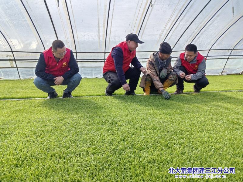 微信图片_20260430074525_649_11_副本.jpg