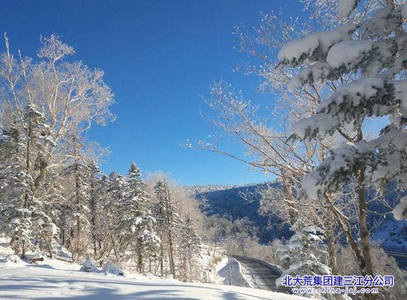 不知庭霰今朝落 疑是林花昨夜开.jpg