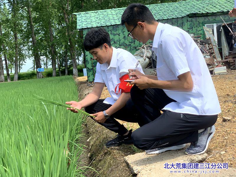 微信图片_20260713081749_1686_78_副本.jpg