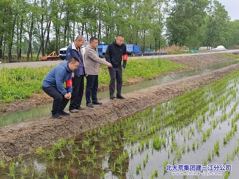 党员农技人员指导种植户田间管理.jpg
