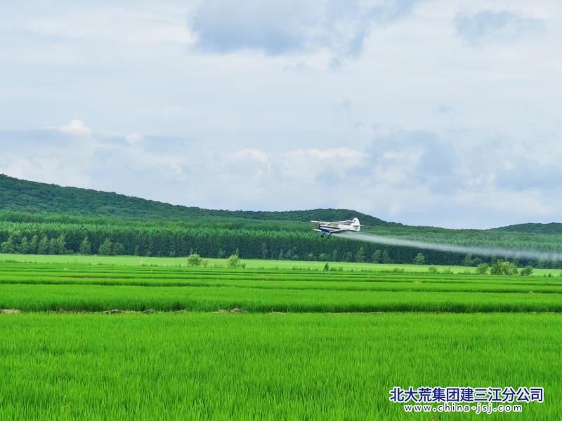 8fa24e00618c3ddcc256c799db4ea4d4_副本.jpg