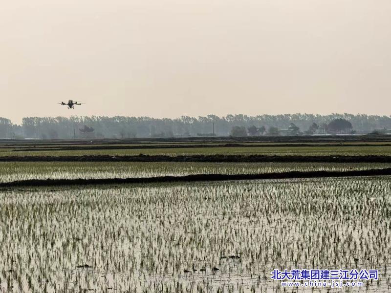 微信图片_20260525071751_388_156_副本.jpg