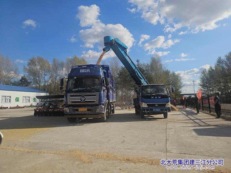第二管理区“撸青水稻“抢鲜上市 抢占双节市场.jpg