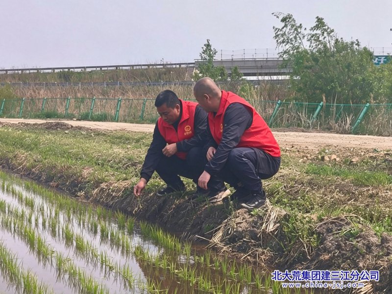 QQ20260611-080540_副本800.png