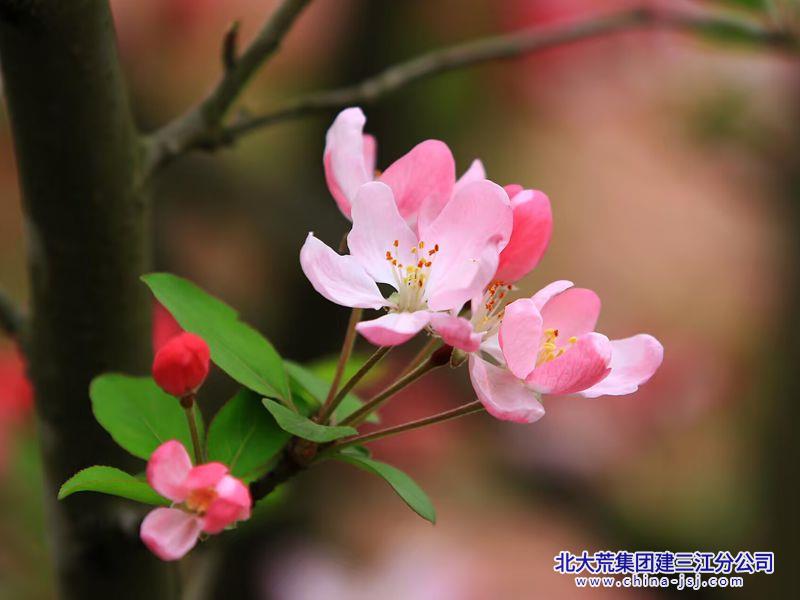 8d5956c4c22801122655697195d09231_副本_副本.jpg