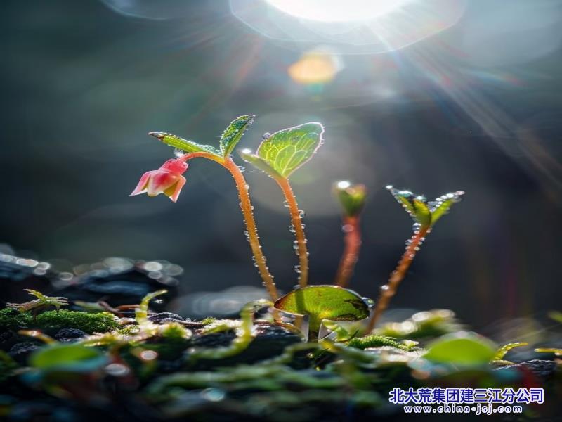 aebdd60cf685d7849fcda31858d8e56.jpg