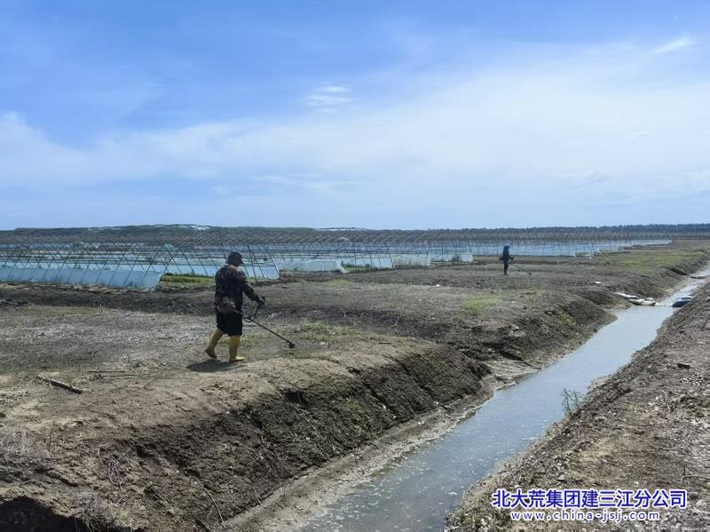 大棚基地环境治理.jpg