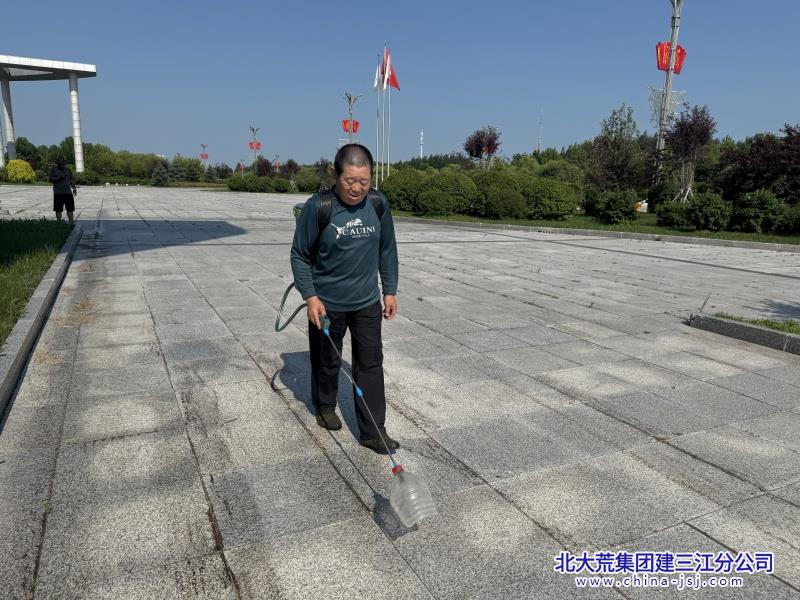除草.jpg