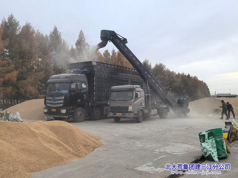 卖粮.jpg