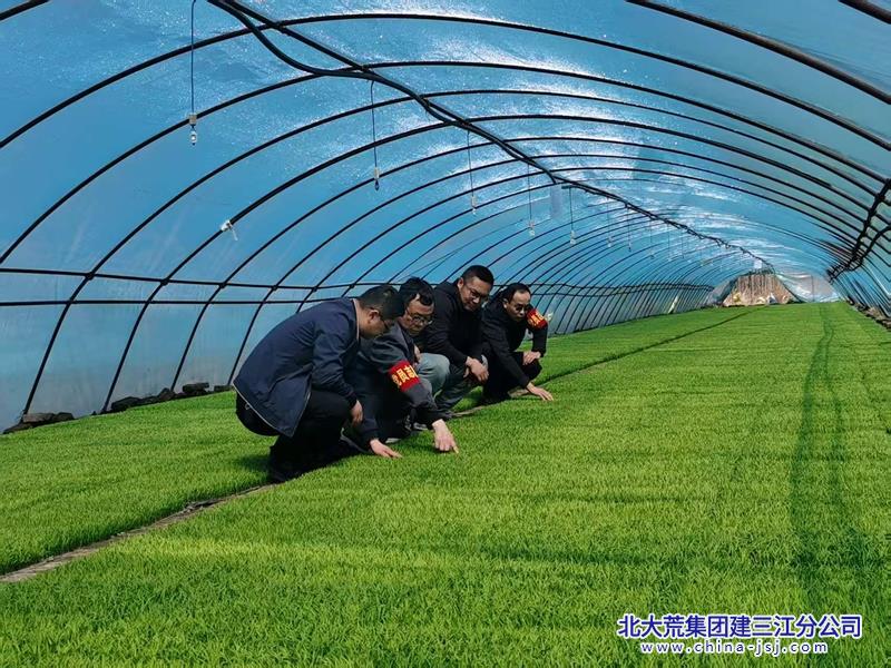 微信图片_202504231422502_看图王.jpg