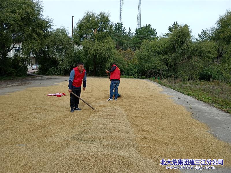 党员干部帮助种植户晾晒粮食.jpg