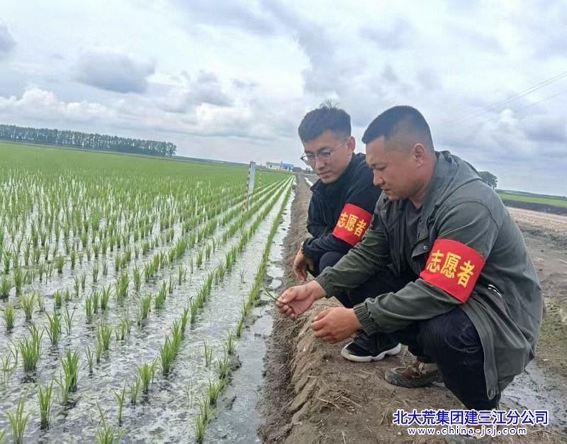 2624_副本.jpg 2624_副本.jpg