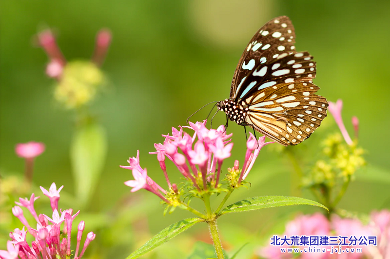 a8295152-ab68-4f32-9630-187ea1469746.png