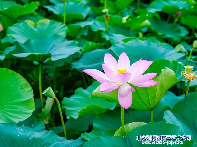 3d1726b4939232acaa09557415874411_副本.jpg