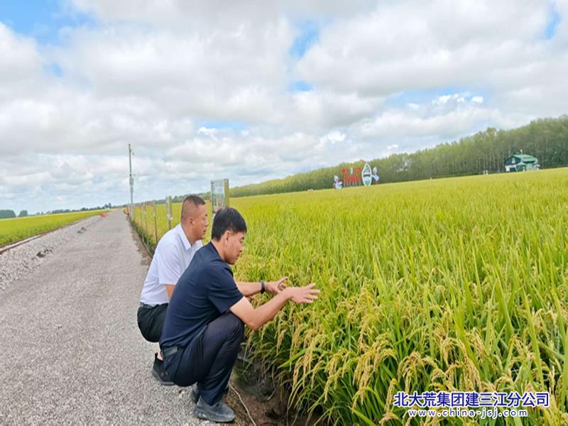 微信图片_20250823094048_29_7.jpg