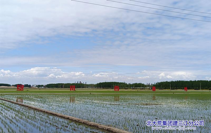 微信图片_20230605083444_副本.jpg