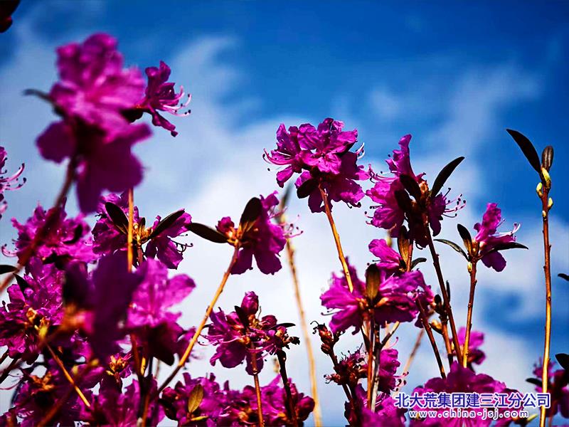未标题-2-恢复的-恢复的-恢复的.jpg