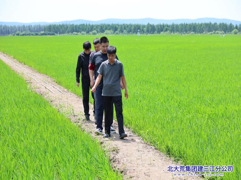 2026二区七一活动照片 (800+600).JPG