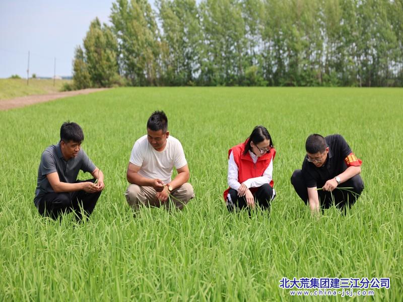 二区七一汇报 (800+600).JPG
