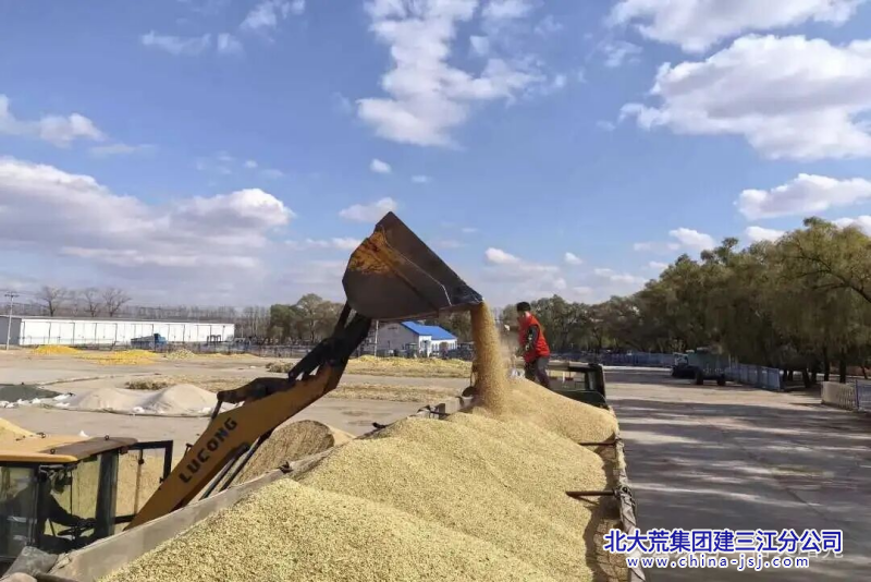 图片1(11)_副本.png 图片1(11)_副本.png