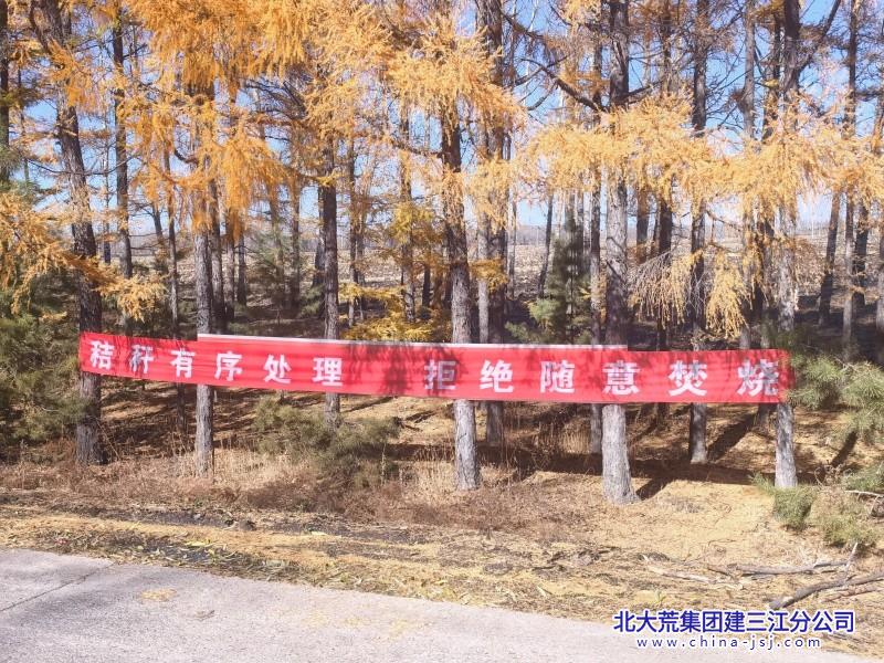 微信图片_20261019110017_169_307.jpg