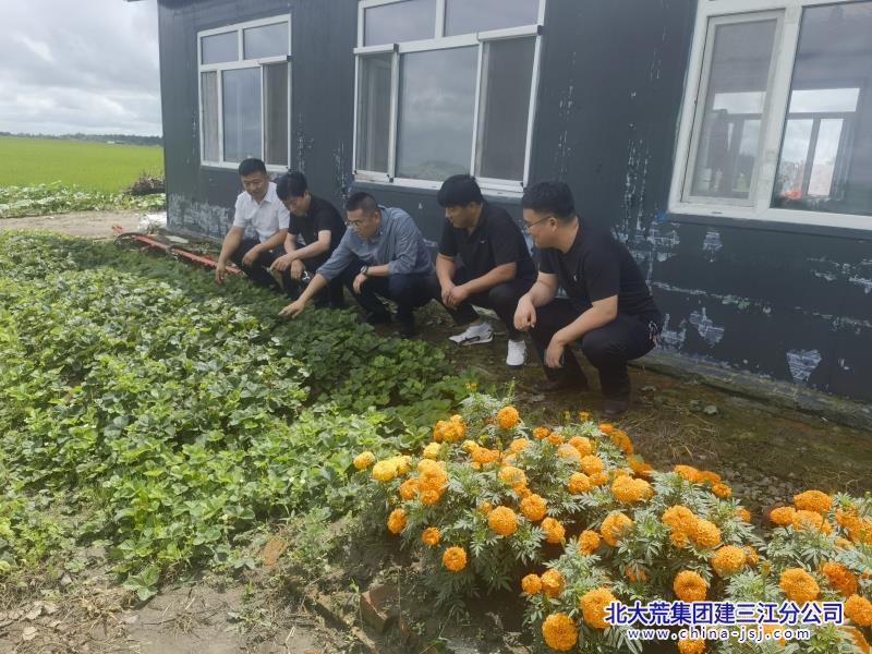 微信图片_20250620084946.jpg