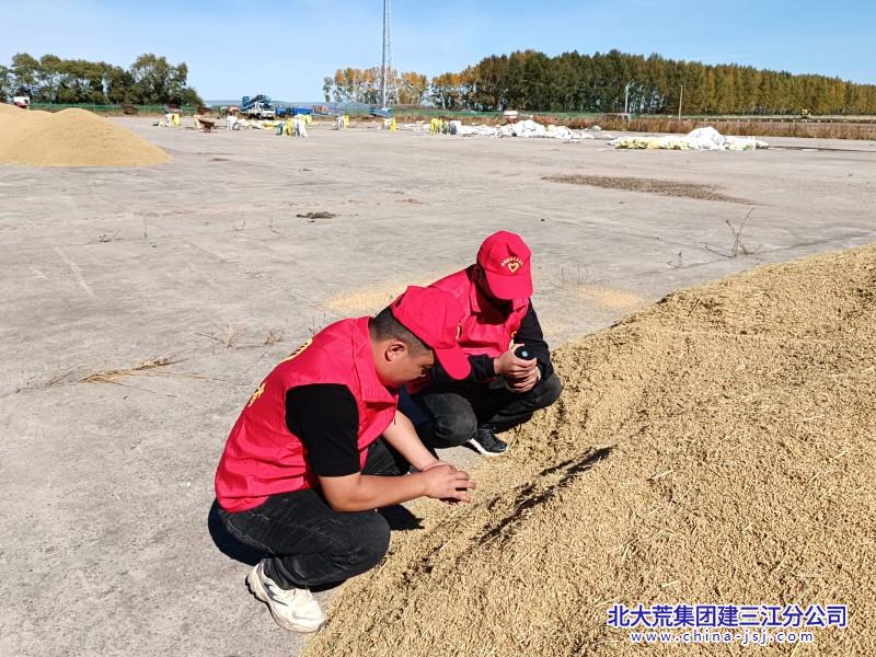 粮堆检测水分.jpg