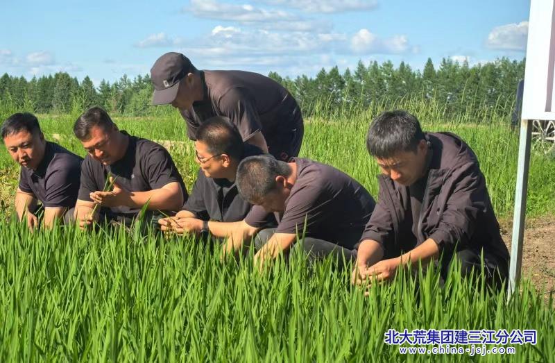 照片3.jpg 照片3.jpg