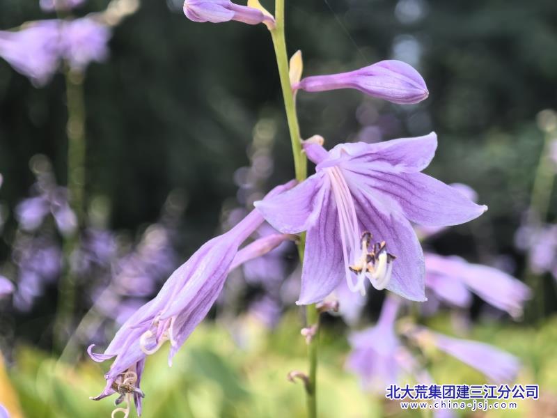 微信图片_20250821093234.jpg