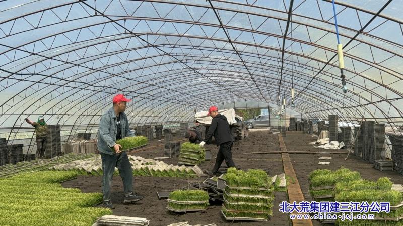 IMG_2260_副本.jpg