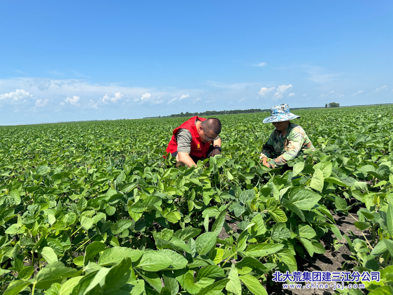 F572706FFFE4E555B0A4DFF422247342_副本.png F572706FFFE4E555B0A4DFF422247342_副本.png