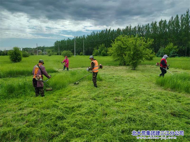 修剪草坪3.jpg