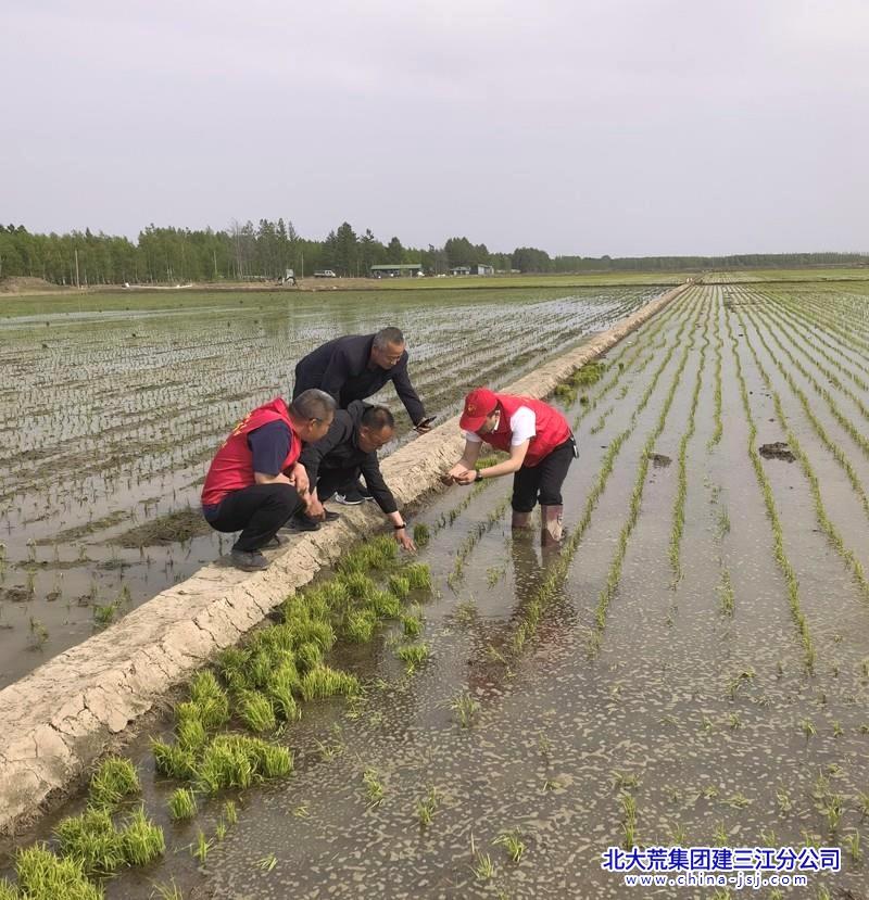 6391615231086666805604250_water_副本.jpg