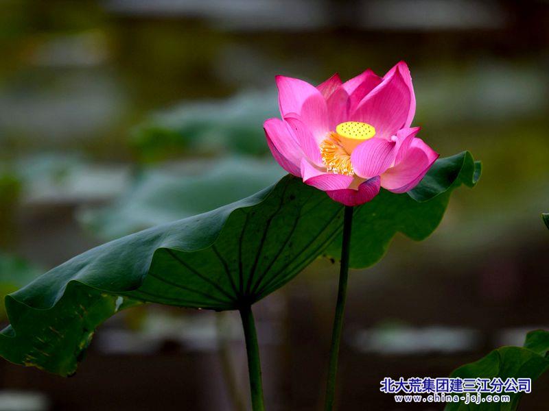 32f839ab5be12a2b2ef753f5a96aa587_副本.jpg