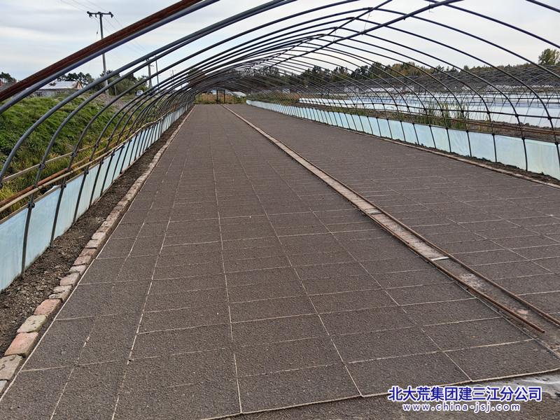 秋摆盘.jpg
