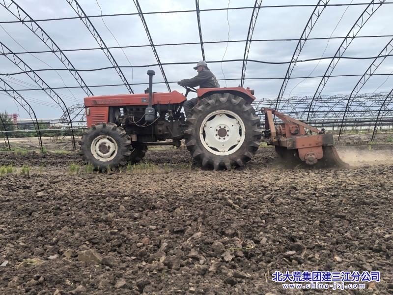 旋耕机在大棚内旋耕.jpg