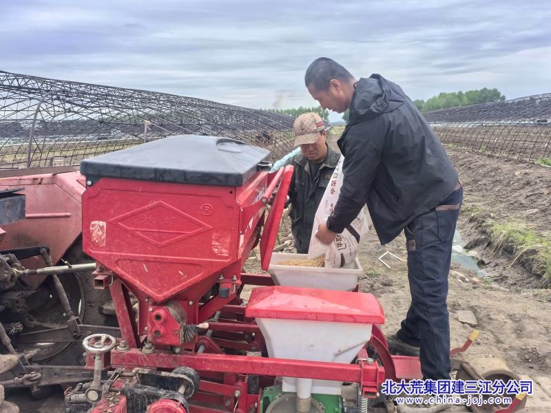 种植户往播种机加豆种.jpg